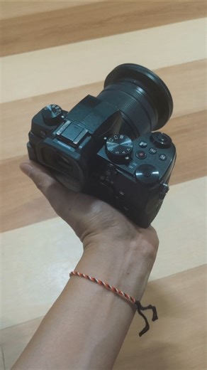 Is the Lumix g95 Perfect Budget Camera in 2026?