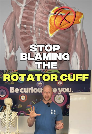 💥 Shoulder pain doesn’t always mean a rotator cuff injury. In fact, many cases of shoulder pain come from poor scapular positioning and underactive muscles — especially the serratus anterior. If your shoulder feels weak, pinchy, or unstable, the real fix might not be more rotator cuff work… 👉 It might be improving scapular control, upward rotation, and serratus activation. In this video, we break down: ✔️ Why shoulder pain is often misdiagnosed ✔️ How the scapula affects shoulder mechanics ✔️ 