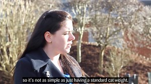 5.9K views · 77 reactions | If you're wondering what your cat's...