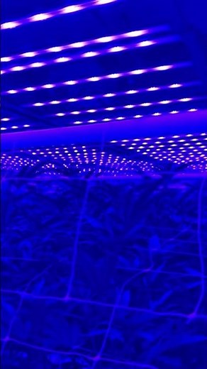 4-Channel Tunable Spectrum LED Grow Light | Flexstar Redline SpecTune