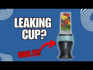 Ninja Fit Blender Cup Leaking? Try This Quick Fix First