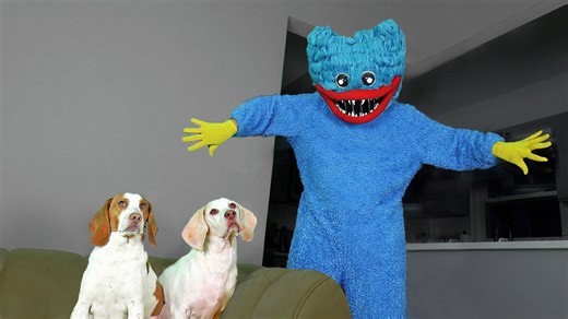 Mischievous Dogs vs Huggy Wuggy in Real Life Prank