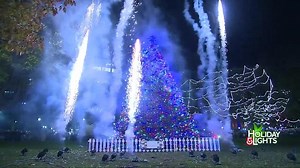 Watch Boston's official Christmas Tree lighting: Holiday Lights 2022
