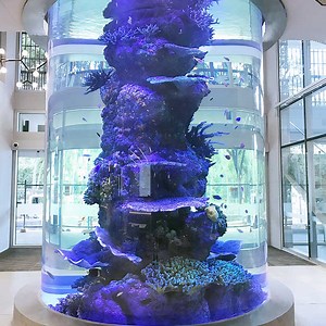 James Cook University Science Place Aquarium, Townsville, Australia – Advanced Aquarium Technologies