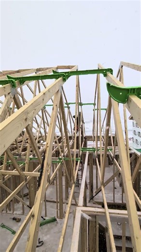 The Ultimate Winter Framing Challenge ❄️🏗️#RoofTrusses #WinterBuild #Alberta #Carpentry#StickFraming