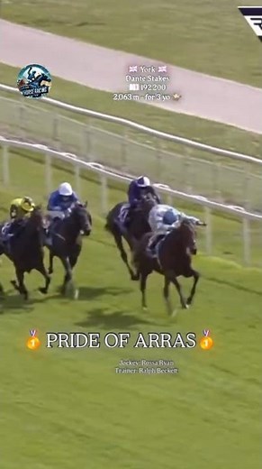 PRIDE OF ARRAS (18/1) Wins the Dante! 🏆🤯