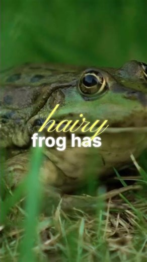 Incredible Animal Abilities Revealed