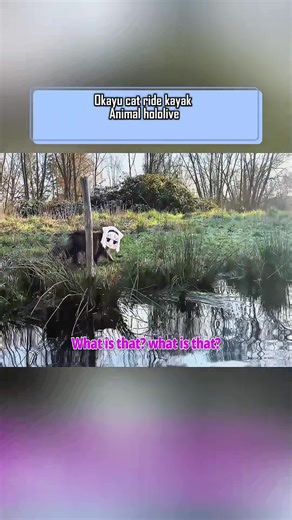 Humorous Hololive Animation Parody Memes