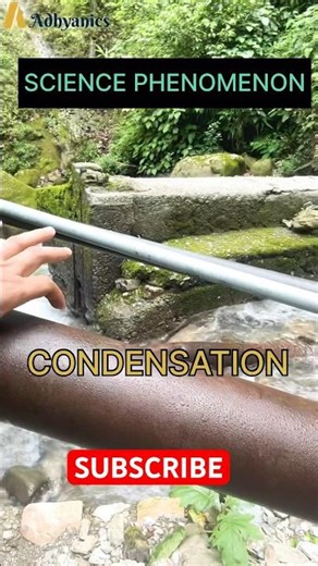 Natural Science Phenomenon || Condensation || Water Droplets || Vapour #shorts