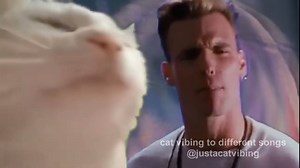 WORD TO YOUR MOTHER. Vanilla Ice - Ice Ice Baby credit: @micklagi on tiktok | Vibe Cat