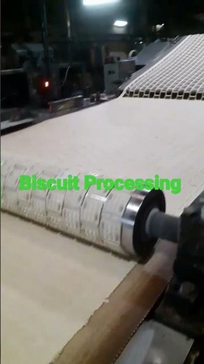 Making Biscuit in Biscuit Factory Cutter | molder