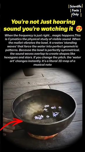 What Sound Looks Like in Water 🤯💦 #sciencefacts #nature