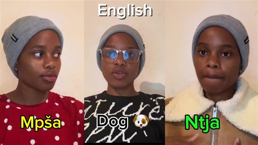 Sesotho vs Sepedi Language Comparison