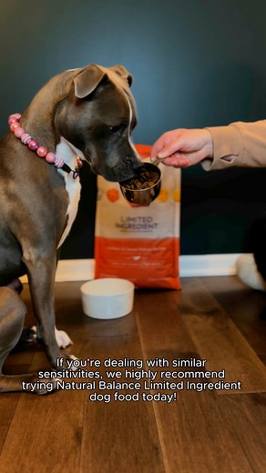 Limit the ingredients, not the benefits with vet recommended Natural Balance Limited Ingredient. | Natural Balance Pet Foods
