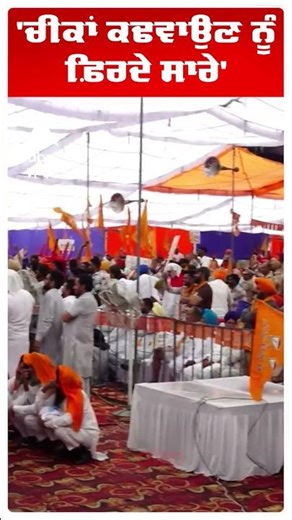 Bikram Majithia on Cm Mann | 'ਚੀਕਾਂ ਕਢਵਾਉਣ ਨੂੰ ਫ਼ਿਰਦੇ ਸਾਰੇ' | Punjab news | Abp Sanjha | Shorts