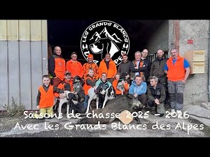 Saison de chasse 2025 - 2026 avec les Grands Blancs des Alpes