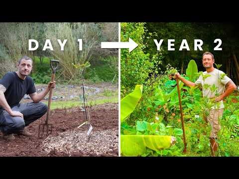 The 1-Tree System That Grows More Food Every Year