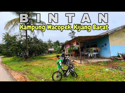 Kampung Yang Tenang dan Damai Jauh dari Kesibukan dan Banyak Pohon Buah ❗ Melayu 🇮🇩 ❗ Walking Tour