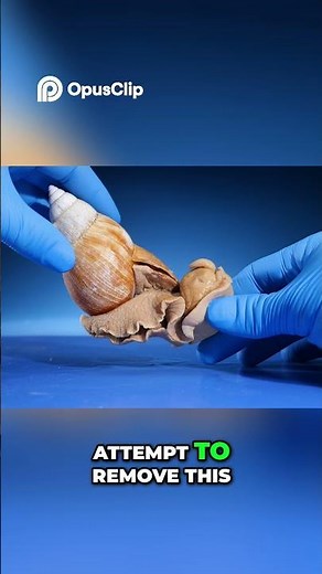 Snails Do They Give Birth or Lay Eggs The Truth Revealed!
