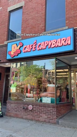 New Capybara-themed cafe in Montreal 🐹☕️ @capybara_cafemtl is the first of its kind in the city, bringing cozy Tokyo and Seoul cafe energy right to the Plateau.⁠ ⁠ Inside, it’s all soft lighting, cute corners, and unique lattes — pistachio, banana, taro, dalgona and matcha 🍵🍌🍫⁠ ⁠ Beans by @cafemyriade, vibes by capybara 🐾 And while you sip, you can browse all the adorable plushies, keychains and capy-merch.⁠ ⁠ Find more unique cafes on the @th3rdwave app.⁠ —⁠ 🎥 Foodie recos via @jeanniesfo