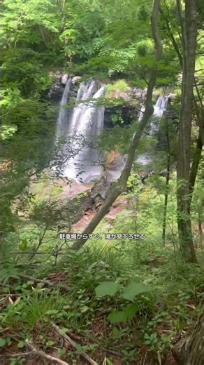 夏は川に入りたい！🏞️#旅行日記 #自然 #お出かけ #観光スポット #旅行vlog #那須塩原 #夏休み #おでかけvlog