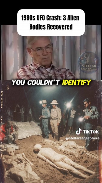 A witness claimed that after a mysterious crash in the 1980s, recovery teams discovered three small non-human bodies at the site. According to the account, the beings were only about three to four feet tall with larger-than-human heads and long delicate fingers. Two of the bodies were badly mutilated and almost unrecognizable, while one appeared more intact and may have survived for a short time after the crash. The description included unusual hands with long fingers and soft pad-like tips inst