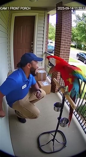 Parrot Learns to Beatbox!