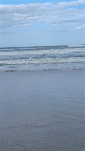 Florida Phil on Reels