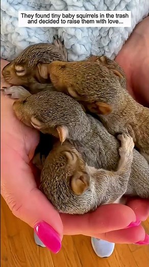 They found tiny baby squirrels in the trash and decided to raise them with love.