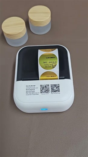 Portable printer capable of printing everything