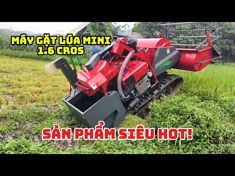 Mini rice harvester 1.6 cros actual harvest in Tuyen Quang #maygatluamini