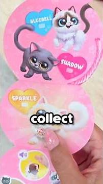 My cat's new friend! #kitten #unboxing #shorts