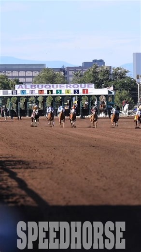 Winner of the 2025 All American Oaks-G1 🏆 🇺🇸 KARMALITES f. (The Marfa Lights - Cartel Karma, Corona Cartel) Breeder: Paris Wixon Owner: Fabian Muniz Porras Trainer: Jorge Luis Sanchez, Jr. Jockey: Luis Martinez 🎥: Myriam Maynard, Speedhorse #SpeedhorseMagazine #AQHA #QuarterHorseRacing #HorseRacing #2025RacingSeason #Racing #Speedhorse | Speedhorse Magazine