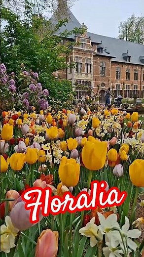 Floralia Brussels | Castle of Groot-Bijgaarden 🌷