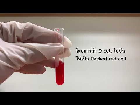 Antiglobulin test by column agglutination