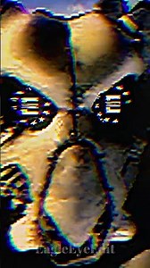 The Enclave Has Risen 🦅 #fallout #edit #shorts