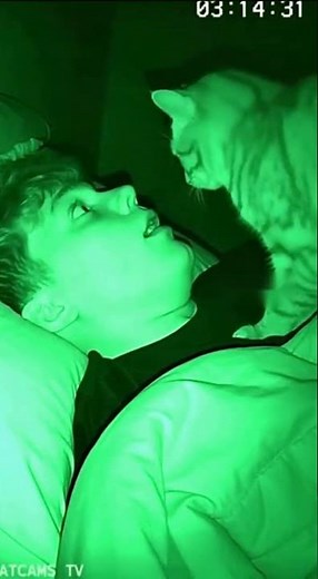 Cat Detects Sleep Apnea: Night Vision Rescue 🐾