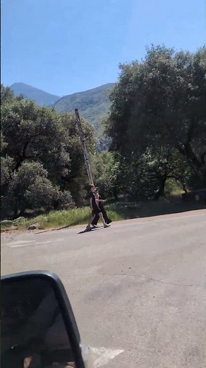 Video of Potwisha Campground — Sequoia National Park, CA from Vidalia S.