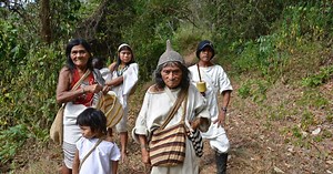 Les Kogis, peuple amérindien "gardien de la nature"