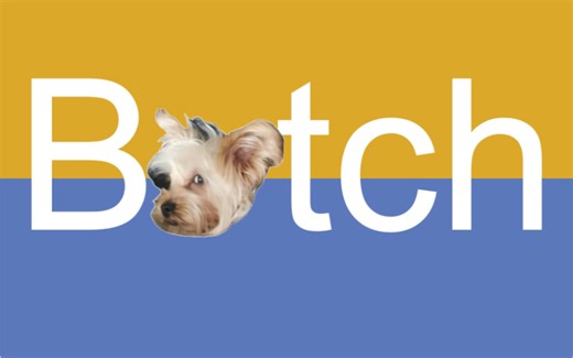 学英语从“脏话”开始之BITCH