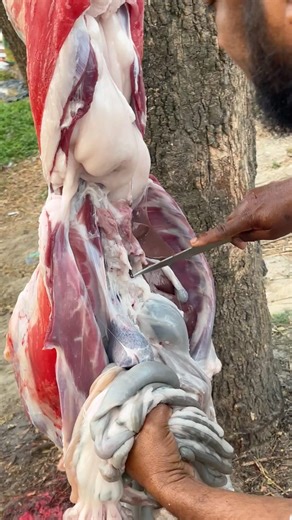Goat meat processing