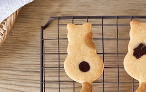 Calico cat cookies