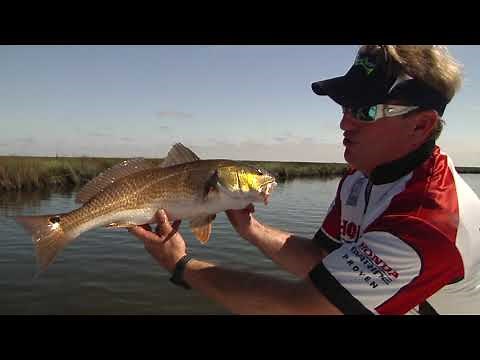 How to Fish with a Dropshot | Captain Charlie Thomason