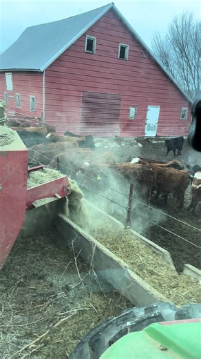 Exploring Ranch Life in South Dakota: My Kind of Therapy