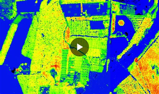 #structuralecology #remotesensing #spatialscale #biodiversity | Yamina Micaela Rosas