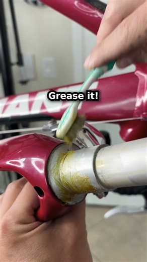 Rusty Chain → Smooth Ride 🔧 Giant Avail 3 Quick Tune Up #bikefix #cycling #bikemaintenance