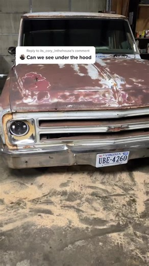 Sawdust&blinkerfluid (@sawdustandblinkerfluid)’s videos with Sneaky Sneaky - Gold-Tiger