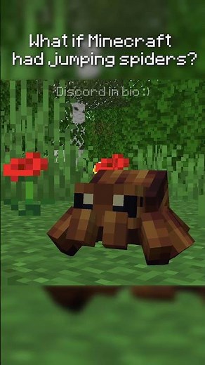 The Critters and Companions jumping spider :D #minecraft #jumpingspider