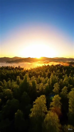 When AI turns nature into a dreamscape 🌍 #AIart #AerialView #HyperrealAI #AestheticAI #ai