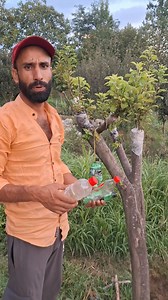 879K views · 5.2K reactions | Better way to protect your orchids from any kind of damage especially caused by wild bear... ‍❄️... #technologia | Driver Boi | Facebook